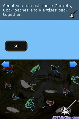 Image n° 3 - screenshots : Clever Kids - Creepy Crawlies